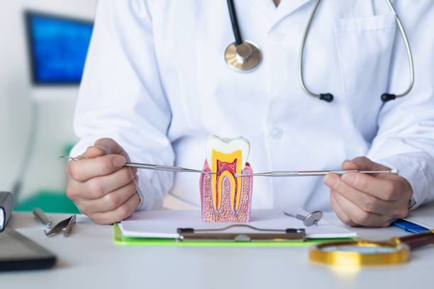 Best Emergency Root Canal Therapy in North Augusta, SC